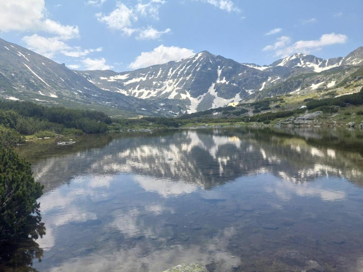 Klepalski - Mountain Studio ボロヴェッツ エクステリア 写真